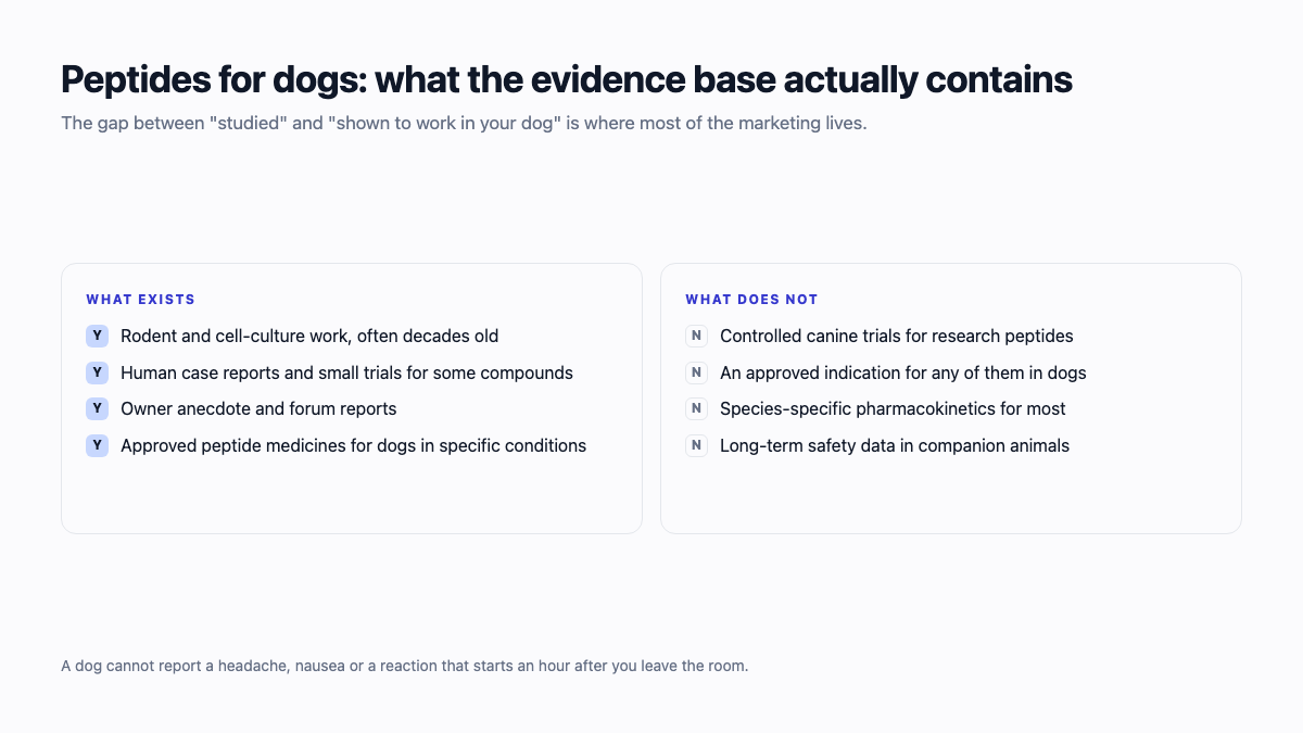 Peptides for dogs: what the evidence base contains and what it does not, including no controlled canine trials