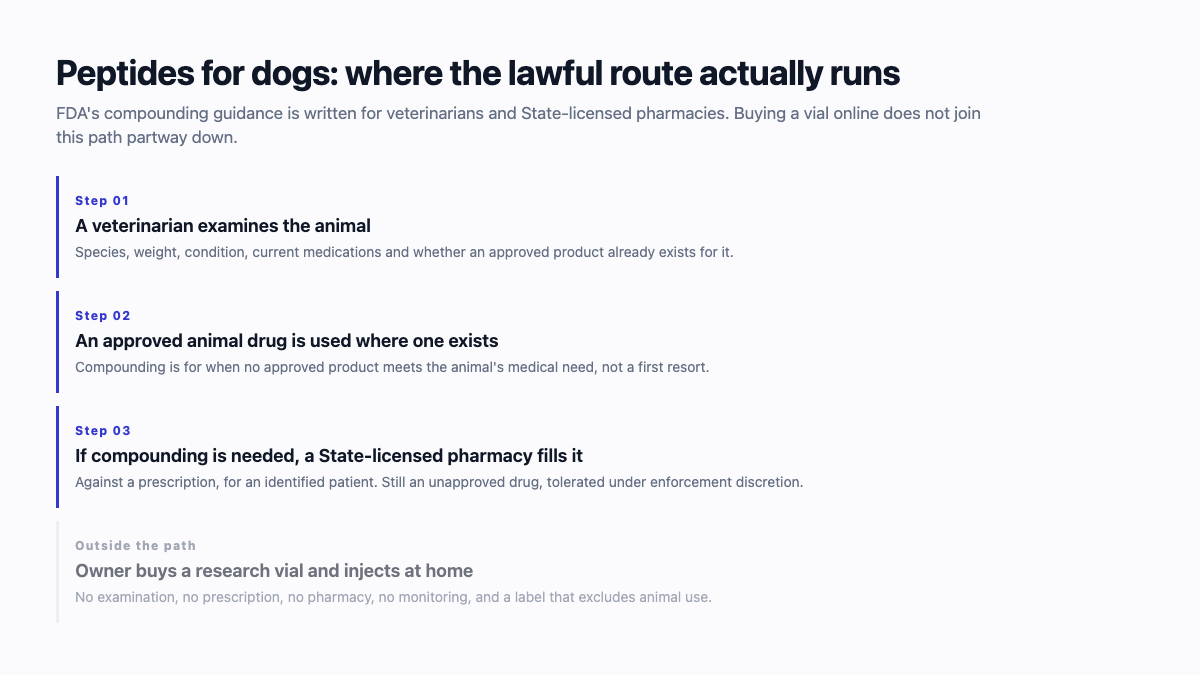 Peptides for dogs: the lawful route from veterinary exam to a State-licensed compounding pharmacy