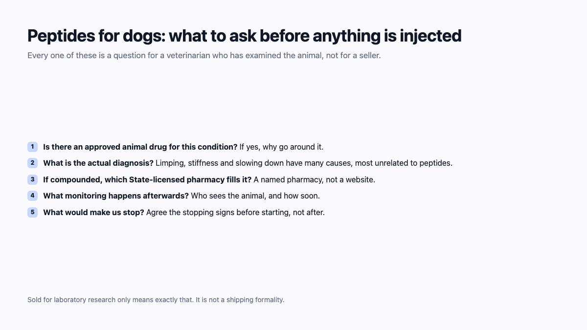 Peptides for dogs: five questions to ask a veterinarian before anything is injected
