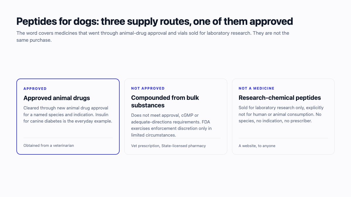Peptides for dogs: the three supply routes compared, with only approved animal drugs cleared for use